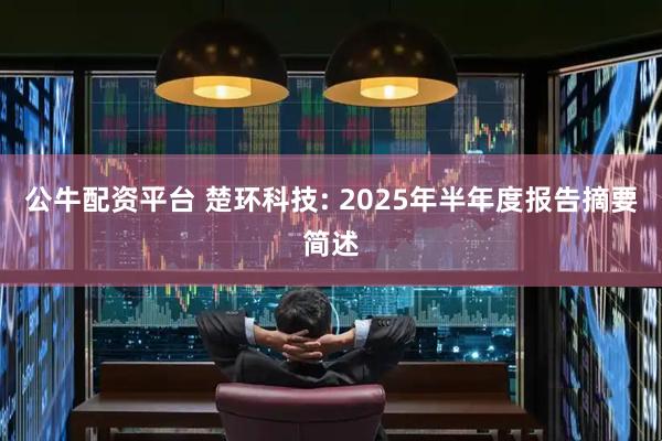 公牛配资平台 楚环科技: 2025年半年度报告摘要简述