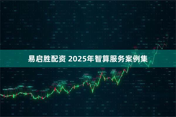 易启胜配资 2025年智算服务案例集