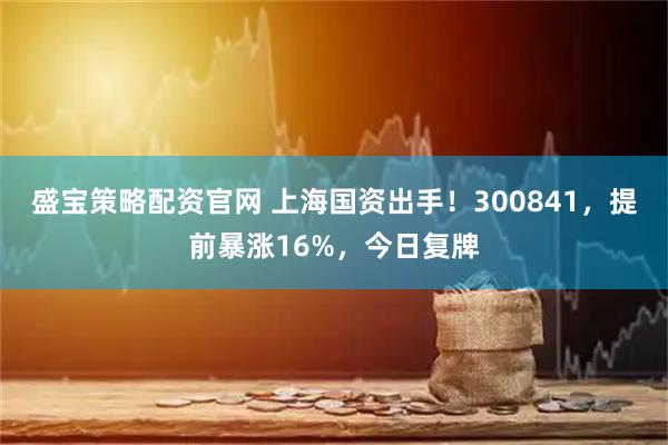 盛宝策略配资官网 上海国资出手！300841，提前暴涨16%，今日复牌